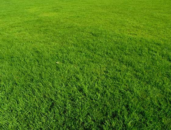 1560394825508873.jpg timg.jpg