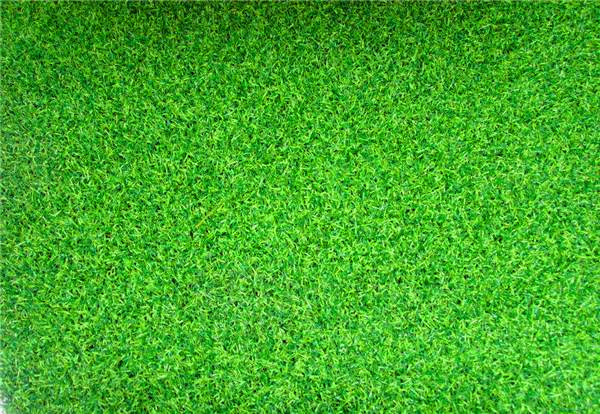 1560932085179361.jpg timg (3).jpg