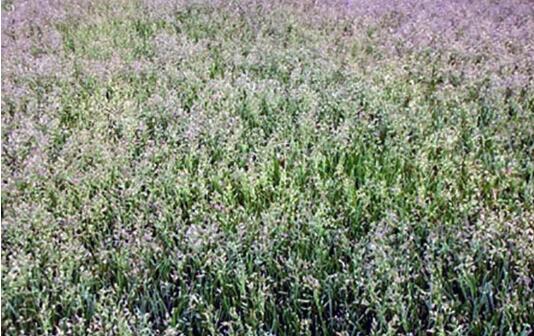 1564976924946597.jpg QQ截圖20190805112013.jpg