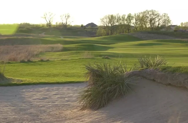 1565582335798435.jpg 640.webp (19).jpg