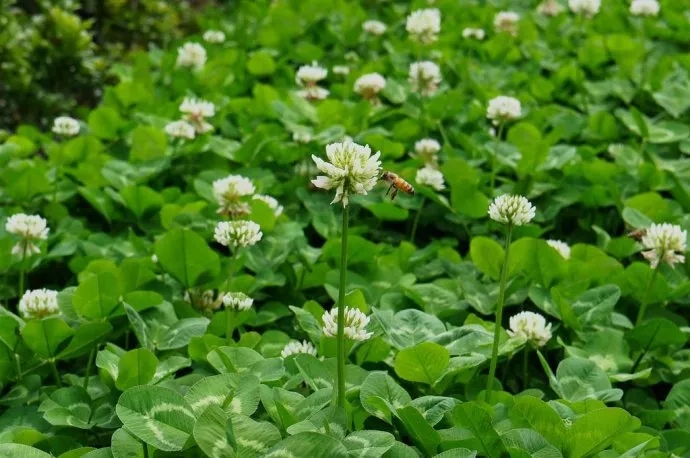 1565939703386044.jpg 640.webp (18).jpg