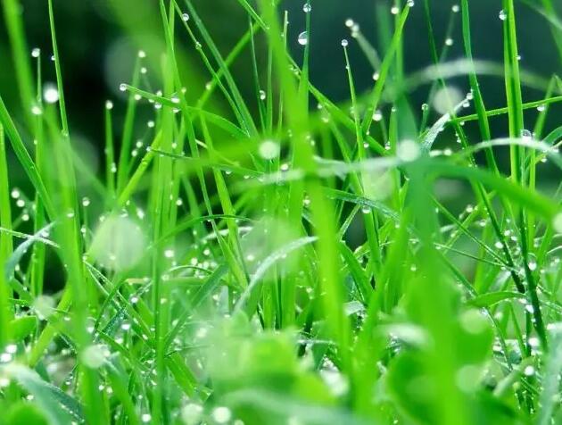 1571036921161342.jpg QQ截圖20191014150654.jpg