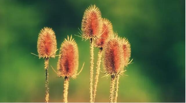 1571036931310520.jpg QQ截圖20191014150708.jpg