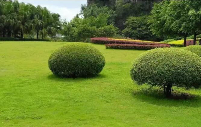 1571037150517536.jpg QQ截圖20191014150654.jpg