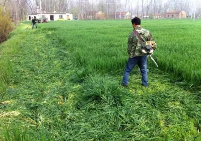 1571037811120676.jpg QQ截圖20191014152152.jpg