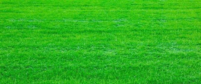 1571039064322934.jpg QQ截圖20191014150708.jpg