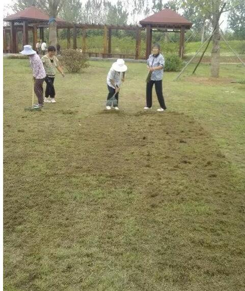 1571628801969201.jpg QQ截圖20191021113145.jpg