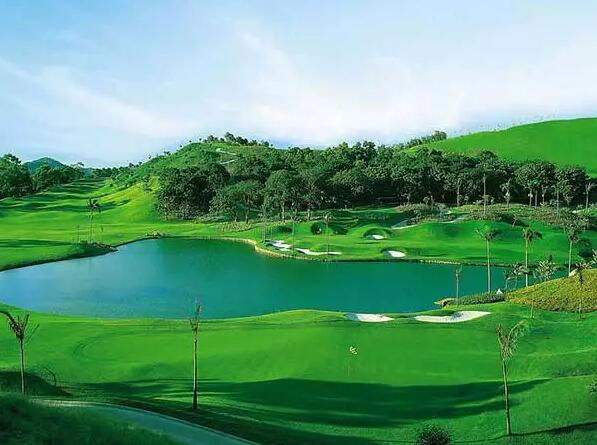 1572592550576708.jpg QQ截圖20191101151401.jpg