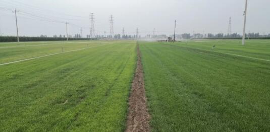 1573627083263856.jpg QQ截圖20191113143705.jpg