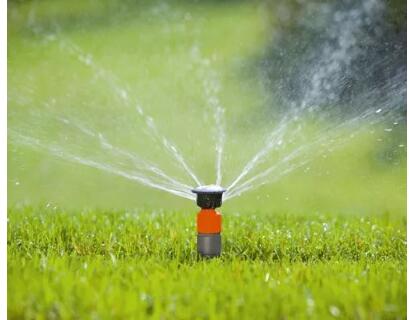 1585645624437966.jpg QQ截圖20200331165415.jpg