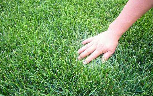 1591685150896912.png 微信截圖_20200609144541.png