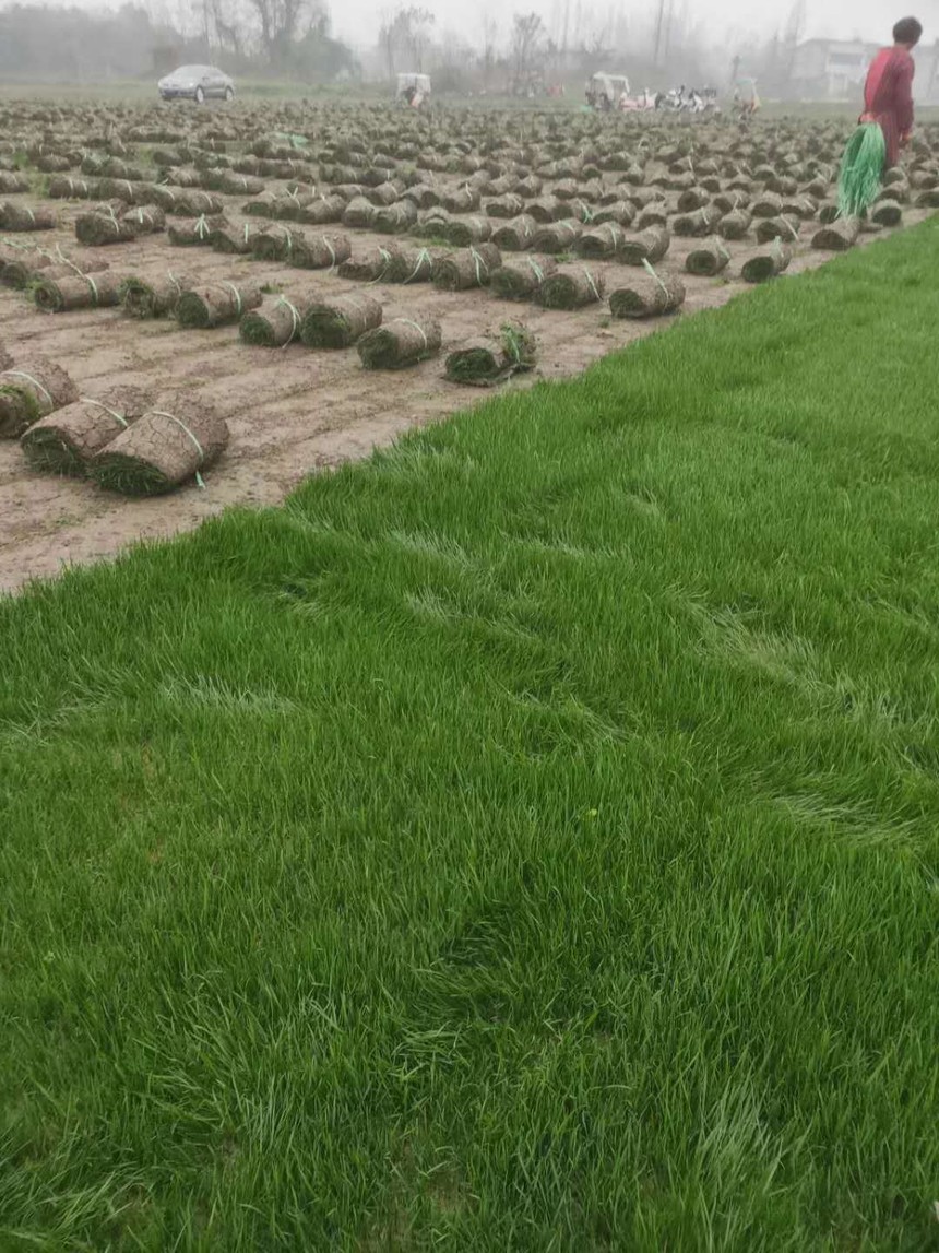 1592190785945010.jpg 微信图片_202006151103034.jpg