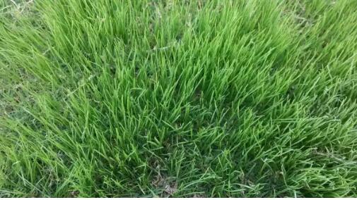 1592289562658863.jpg QQ截圖20200616143840.jpg