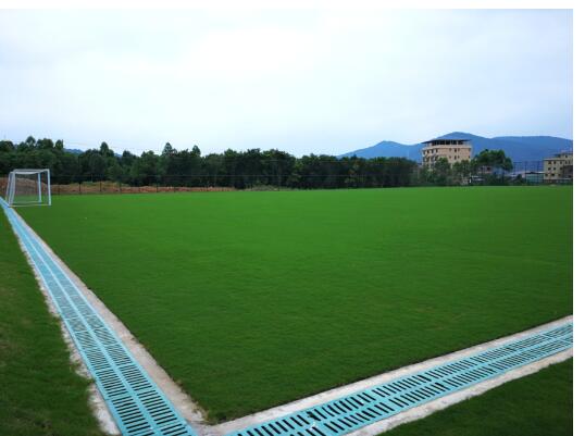 1593330268838492.jpg QQ截圖20200628154415.jpg