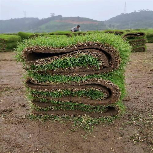 1594611263990430.jpg u=1377873805,3195736425undefinedfm=11undefinedgp=0.jpg