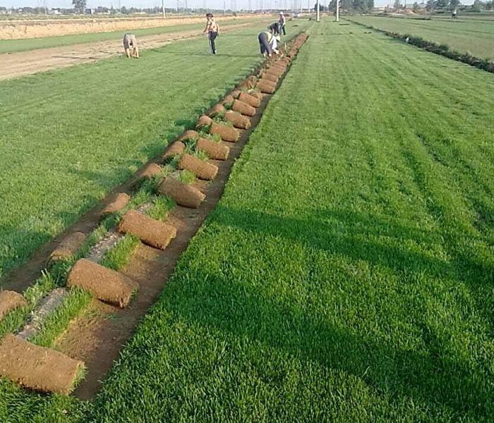 1594611670616923.jpg timg (1).jpg