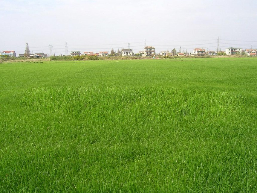 1594611967544975.jpg timg (9).jpg