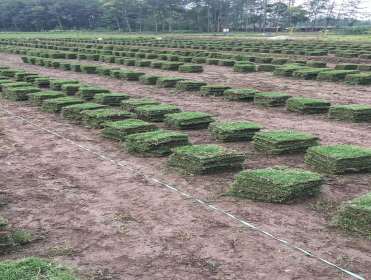 1594801095890329.jpg 19929681_1594612898.jpg