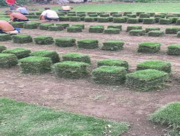 1594801104757689.jpg 19929683_1594612898.jpg