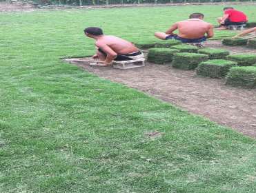 1594801116167590.jpg 19929684_1594612899.jpg