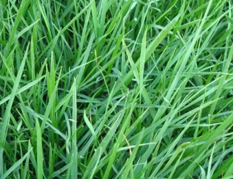 1597201305608857.png 微信截圖_20200812110139.png