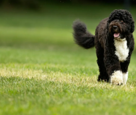 1597806486363422.png 微信截圖_20200819110724.png