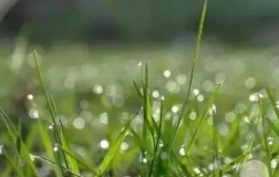 1598597542378805.png 微信截圖_20200828145108.png