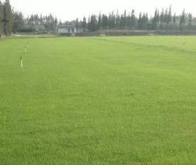 1598845864226065.png 微信截圖_20200831115052.png