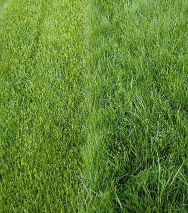 1599459021462047.png 微信截圖_20200907141012.png