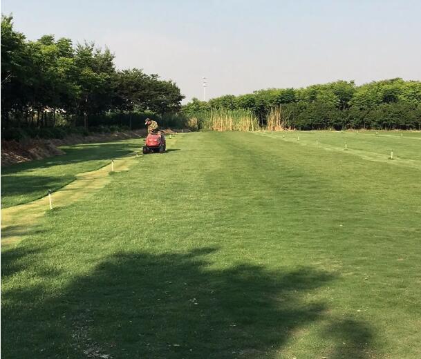 1599535605261247.jpg QQ截圖20200908112622.jpg