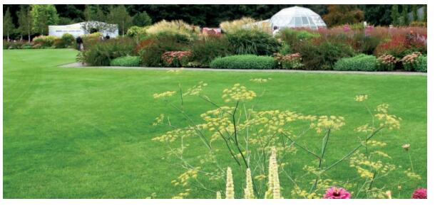 1599796194807218.jpg QQ截圖20200911114910.jpg