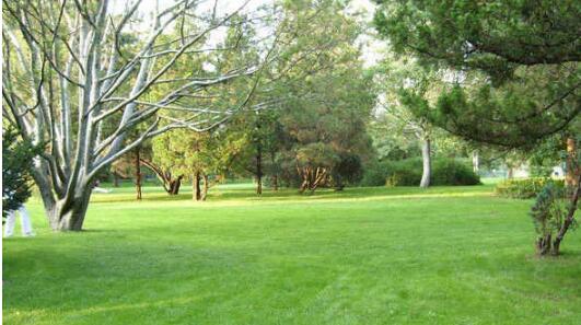 1599796660653772.jpg QQ截圖20200911115721.jpg