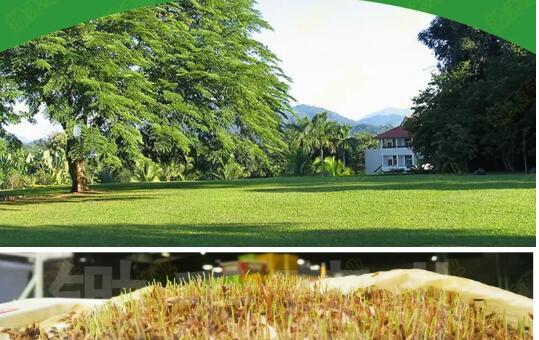 1600222298867562.jpg QQ截圖20200916101044.jpg