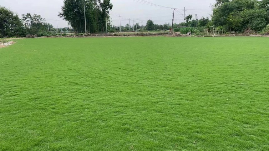 1656040762964951.jpg 微信圖片_202206191537391.jpg