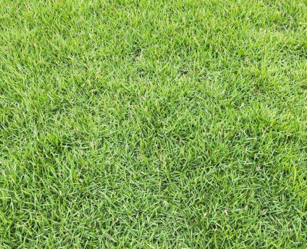 1657077674830181.jpg timg (1).jpg