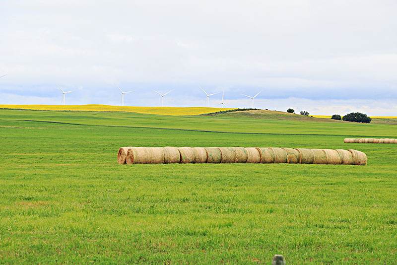 1657077685418162.jpg timg (4).jpg