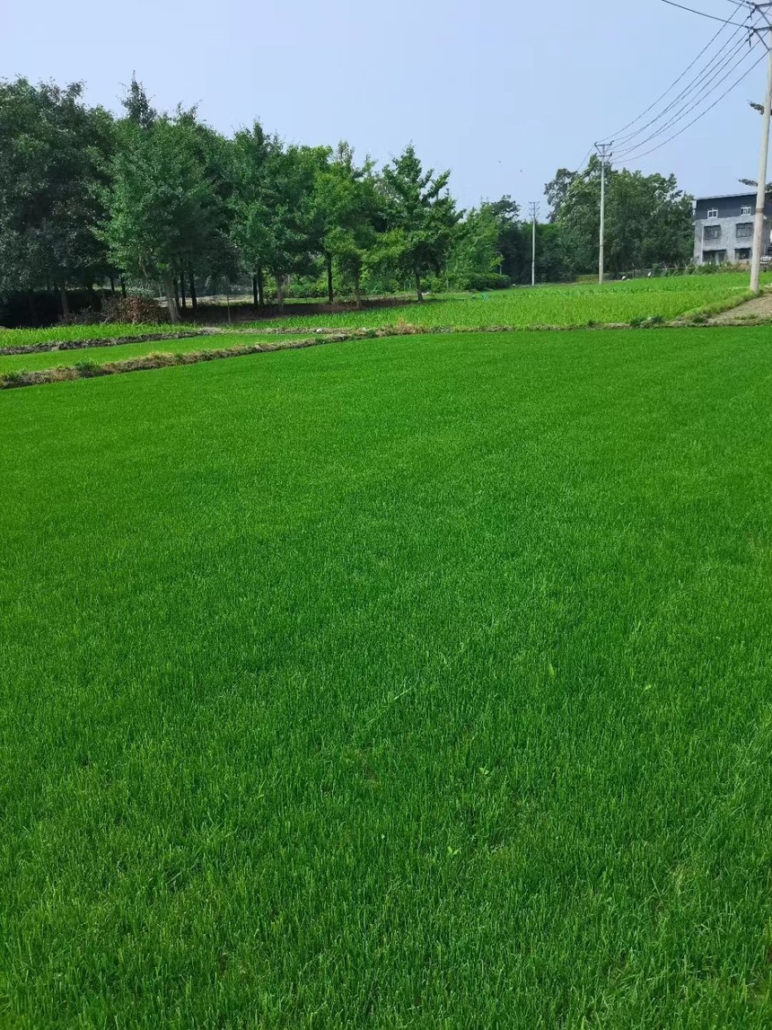 1657264394181607.jpg 微信圖片_202206191543292.jpg