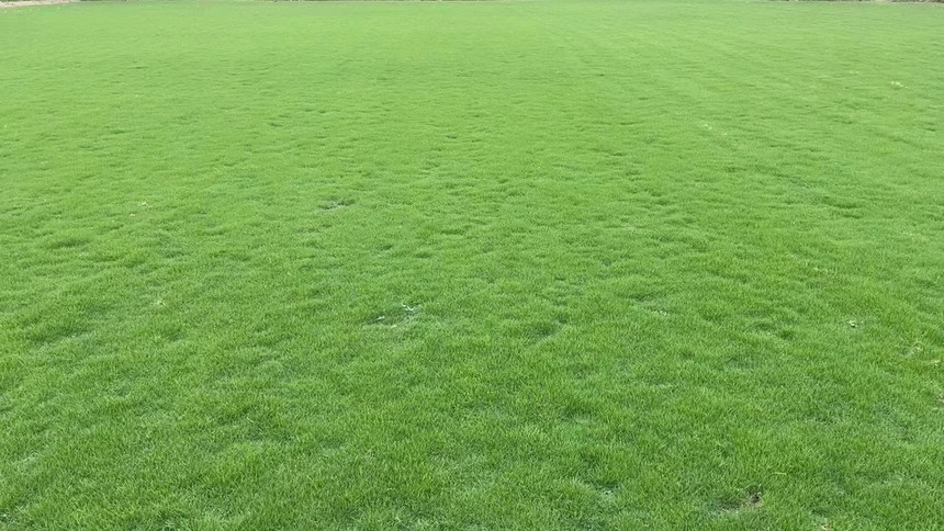 1657865412478897.jpg 微信圖片_202207151405107.jpg