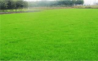 1659407337335507.jpg timg (2).jpg