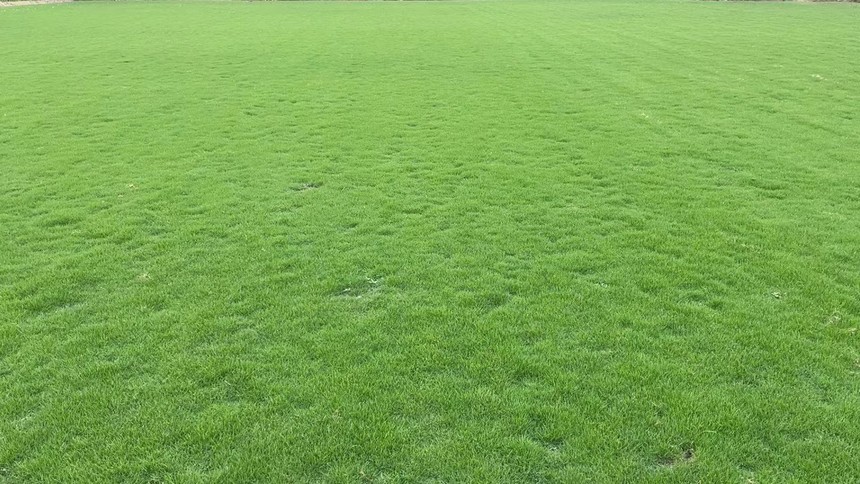 1659497255937960.jpg 微信圖片_20220621115934.jpg