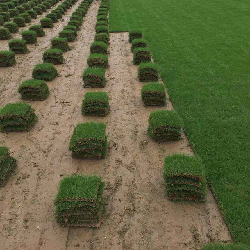 1659605817337582.jpg timg (2).jpg