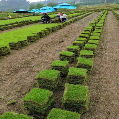 1659667502686098.jpg u=296283916,1545711139&fm=11&gp=0.jpg