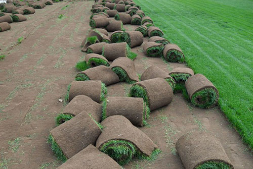 1659667518722882.jpg u=2370466247,783346156&fm=26&gp=0.jpg