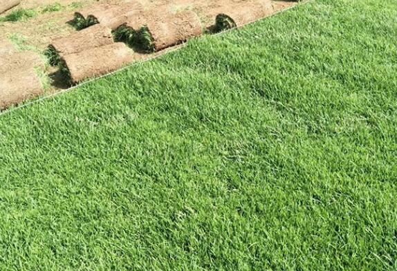 1659927536978704.jpg QQ截圖20220808105741.jpg