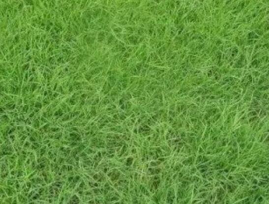 1660706936838202.jpg QQ截圖20220817112703.jpg