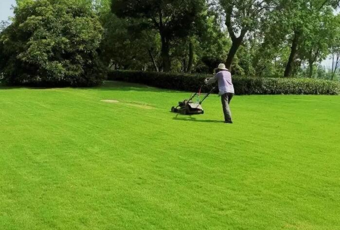 1661151429246462.jpg QQ截圖20220822145537.jpg