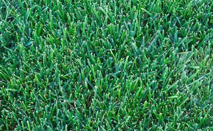 1661494831442739.jpg QQ截圖20220826140611.jpg