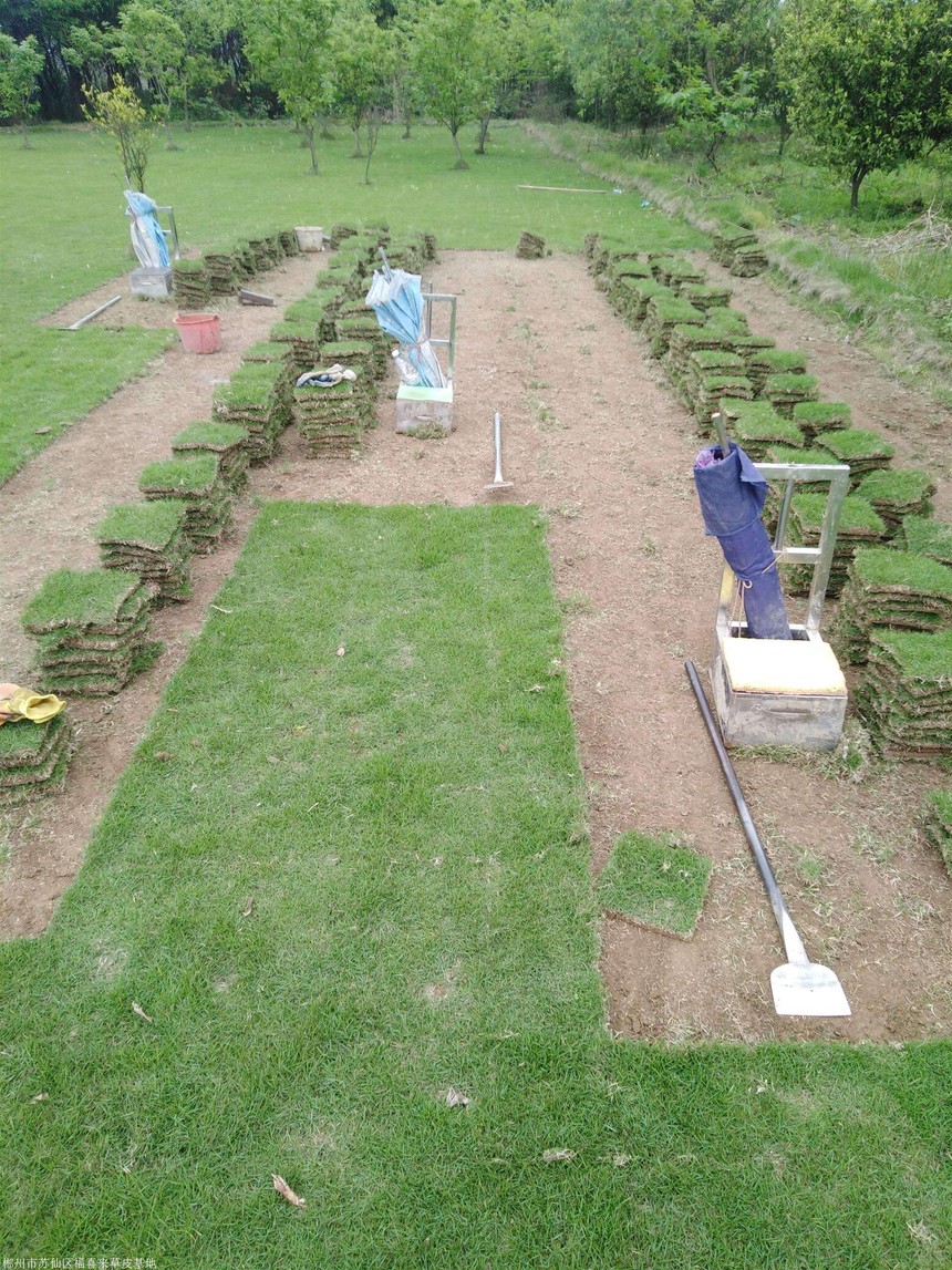 1661753865535874.jpg timg (1).jpg