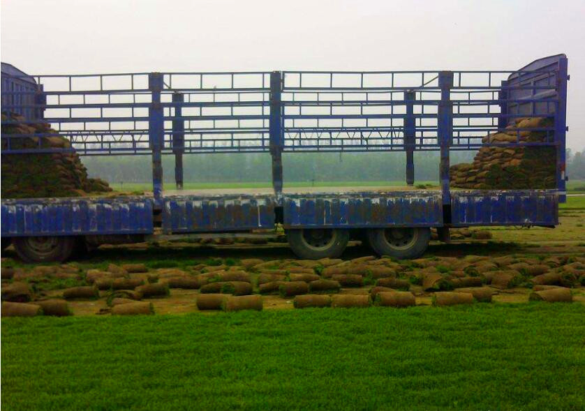 1661912854338633.jpg QQ截圖20190903135450.jpg