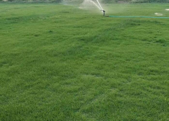 1662088660425283.jpg QQ截圖20220902111419.jpg